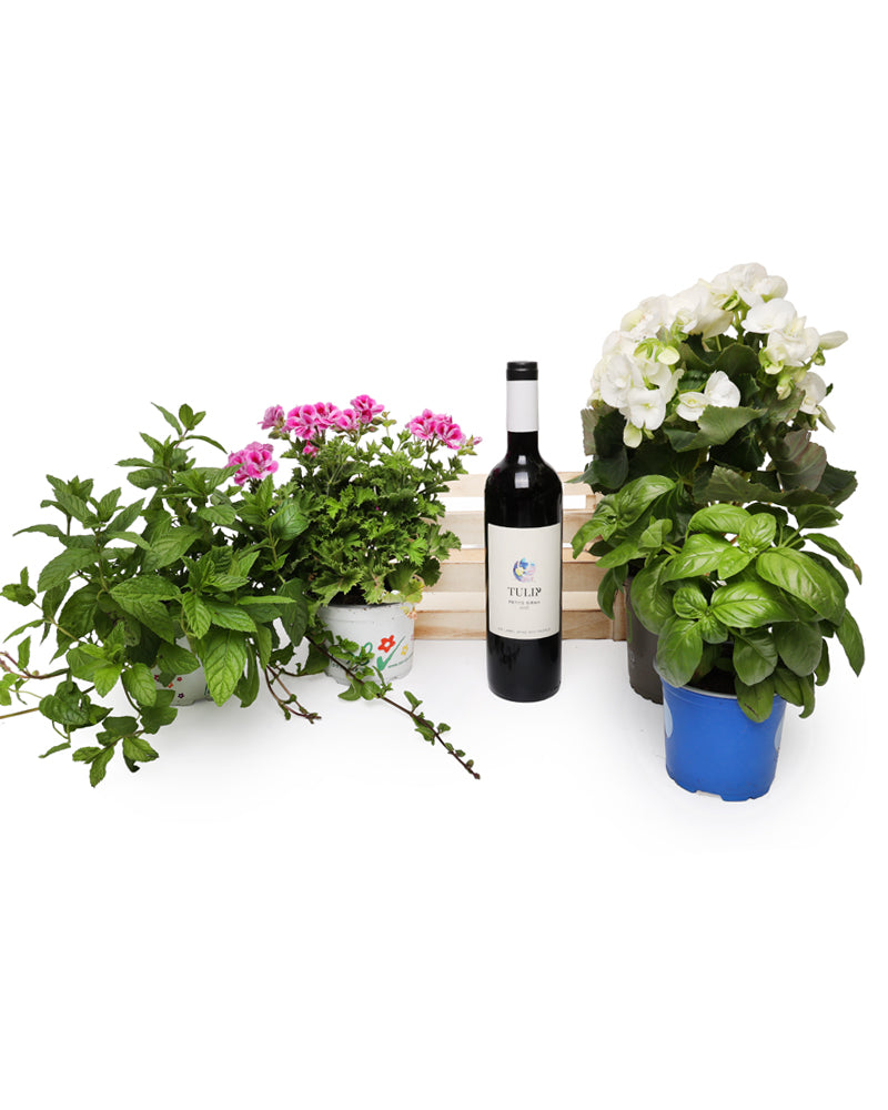 מארז "בוסתן החג