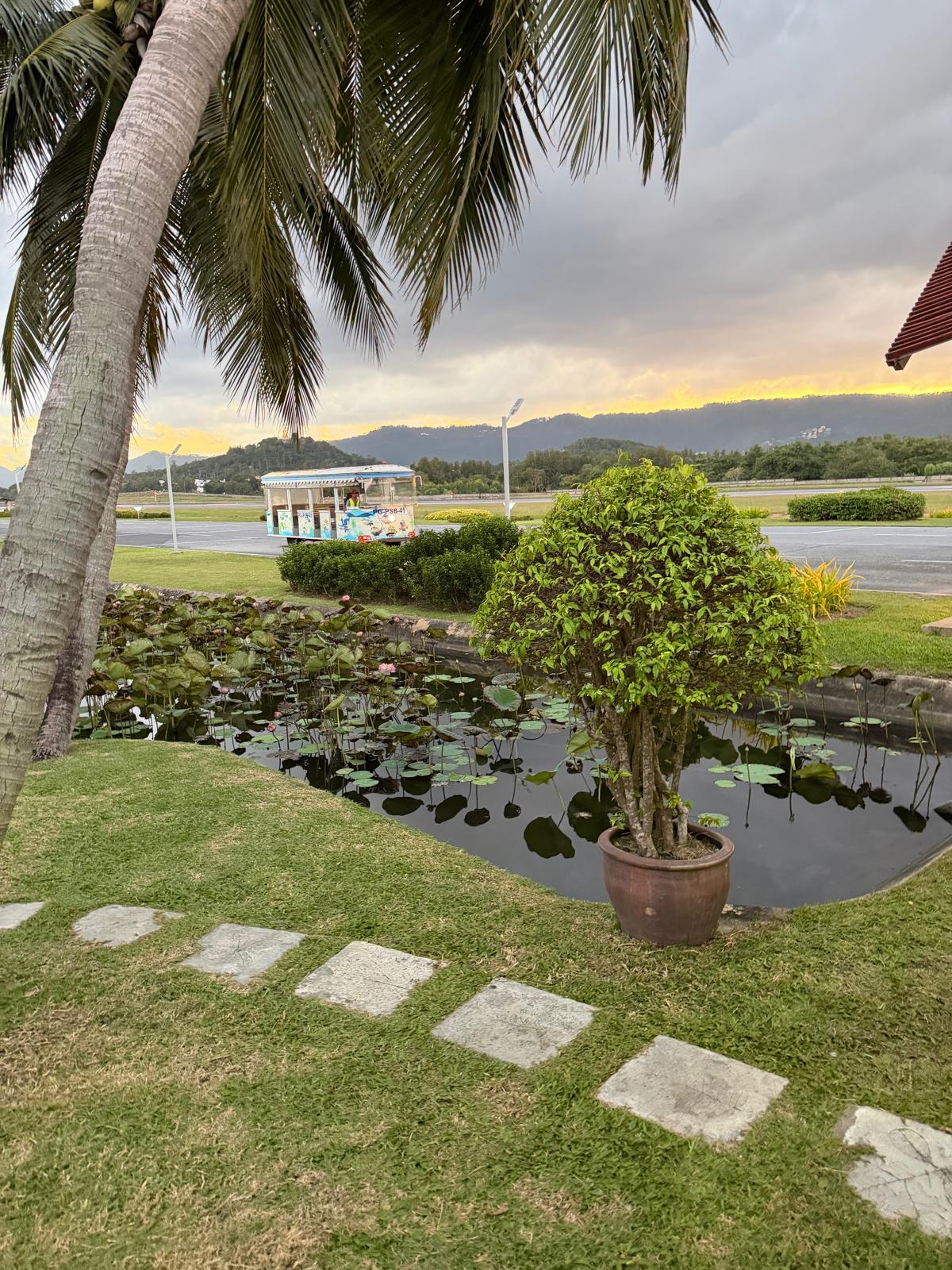 רימוני השדה