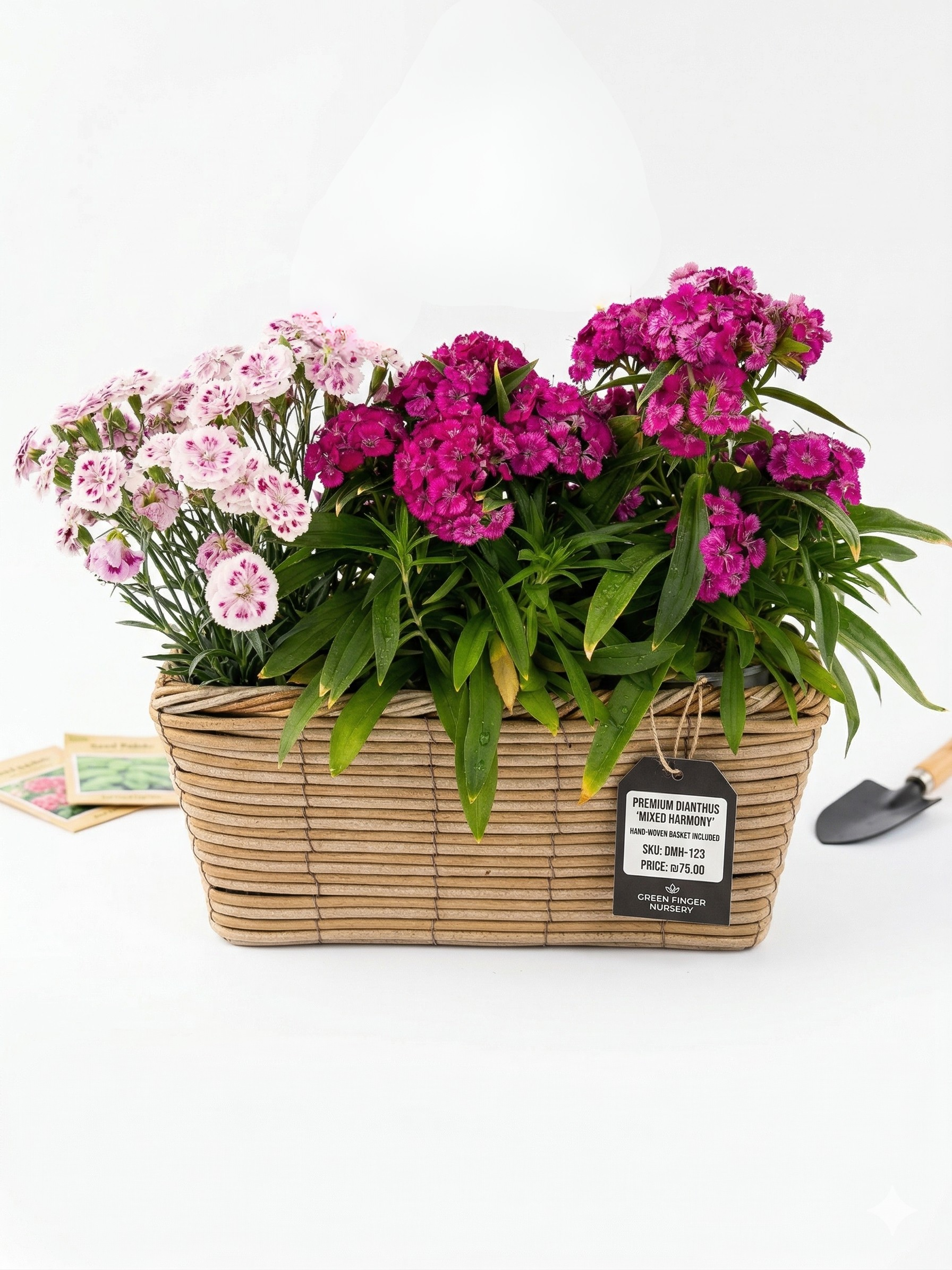 ערכת בוקר של נחת