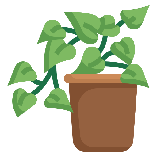 מרפסת וגינה